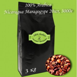 Кава зернова Arabica Nicaragua Maragogupe 20scr C.B. 3000г